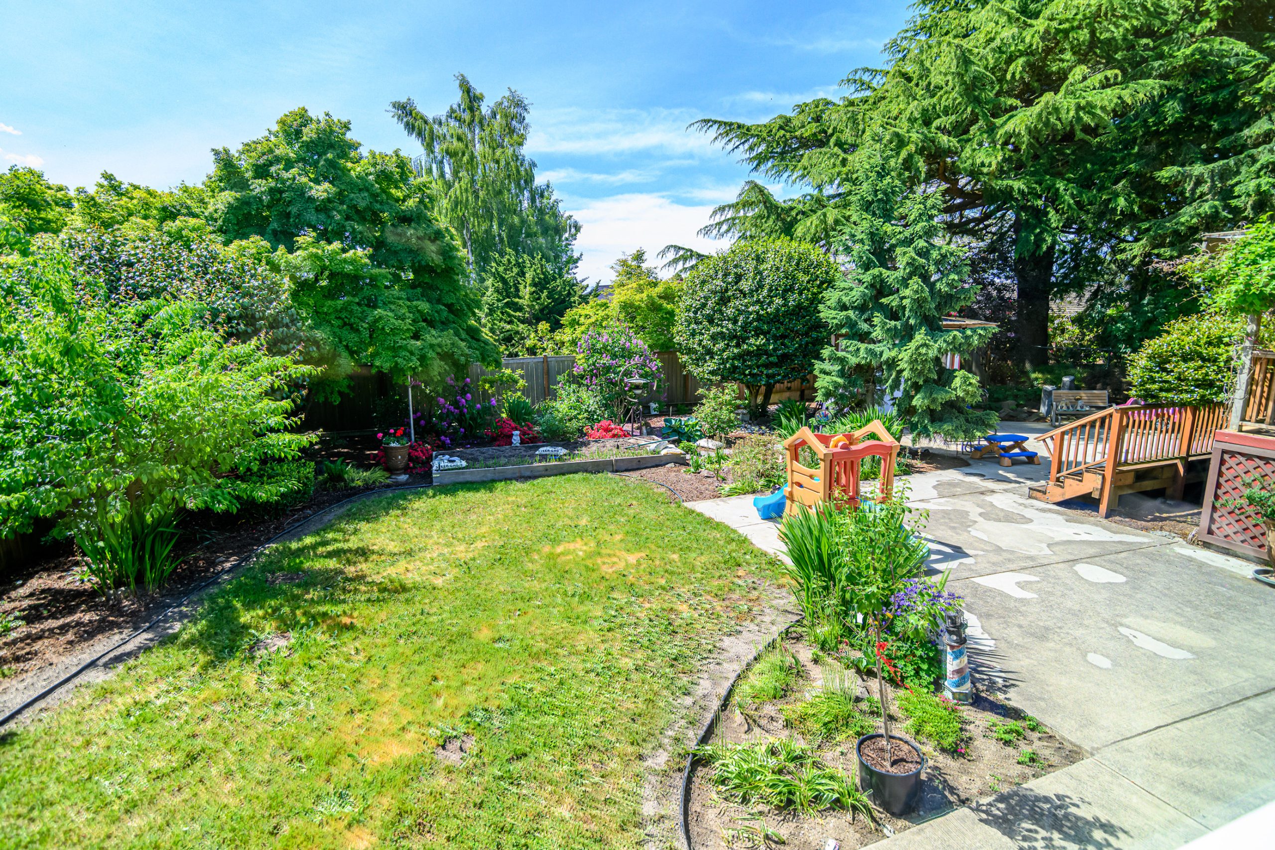 Backyard