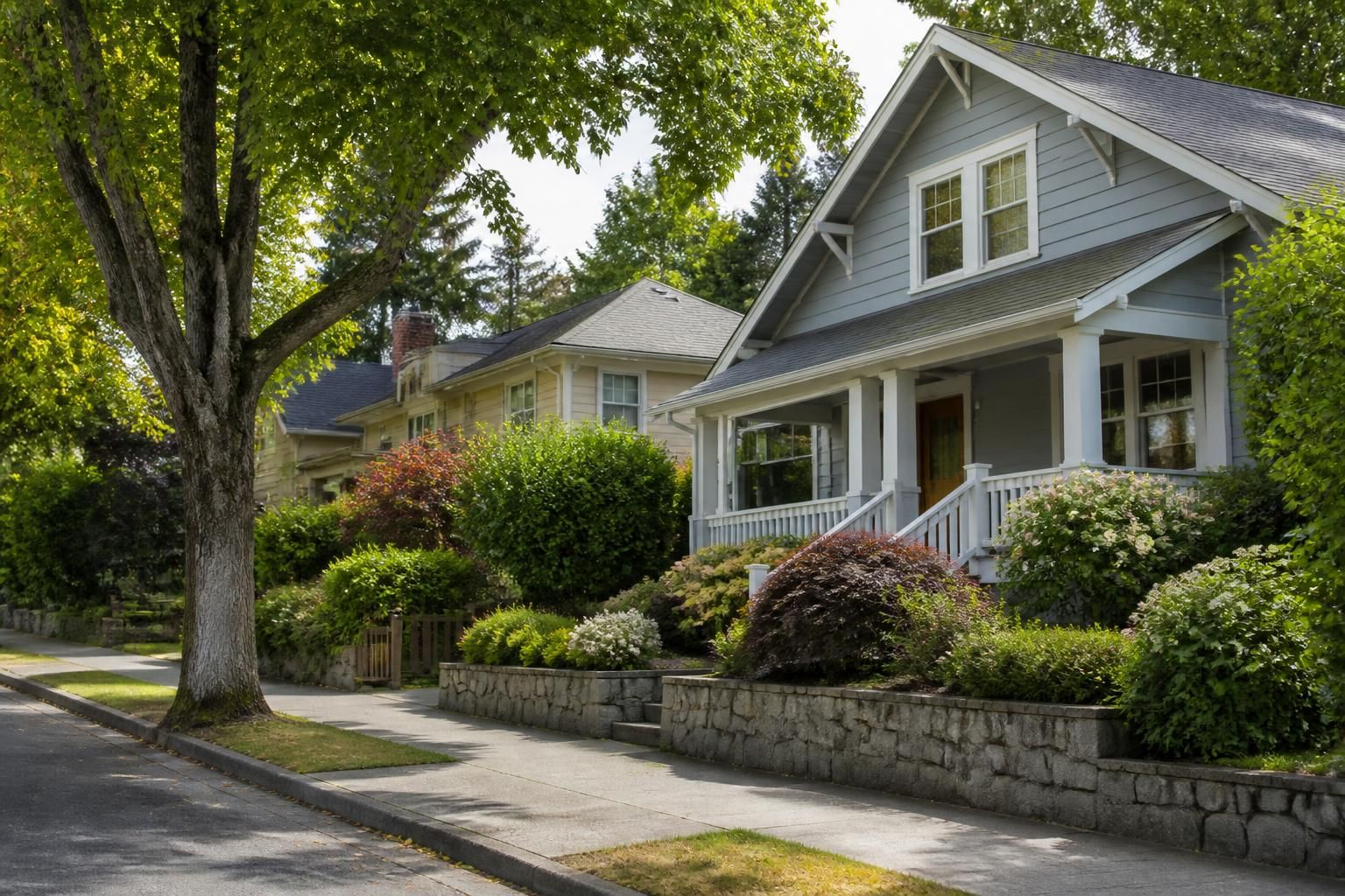 A well-kept North Admiral neighborhood with homes and mature trees.