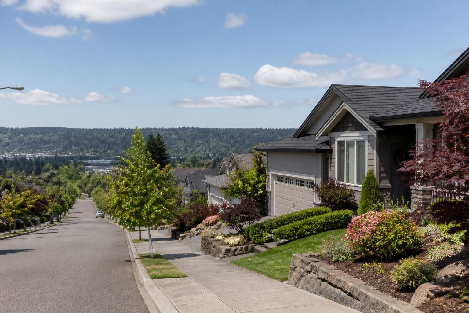 A clean Tukwila street with neatly maintained homes and greenery.